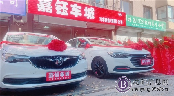 轻松拥有一台车